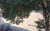 Туры в отель Candia 41