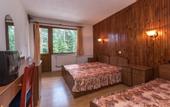 Туры в отель Ski Hotel Katerina