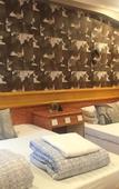 Туры в отель New Garden Hostel