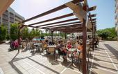 Туры в отель Dorada Palace