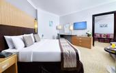 Туры в отель Tolip El Galaa Hotel Cairo