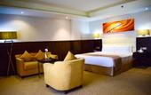 Туры в отель The Secure Inn Hotel Muscat