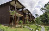 Туры в отель Phu Quoc Bambusa Resort