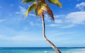 Туры в отель Hotel Villas Las Palmas al Mar