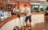 Туры в отель Dorint Alpin Resort