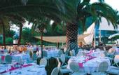 Туры в отель Alexandra Beach Thassos Spa Resort