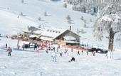 Туры в отель Dorukkaya Ski & Mountain Resort