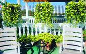 Туры в отель Patio de Getsemani