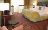 Туры в отель Doubletree Hotel Atlanta NW Marietta