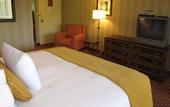 Туры в отель Doubletree Hotel Atlanta NW Marietta