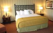 Туры в отель Doubletree Hotel Atlanta NW Marietta
