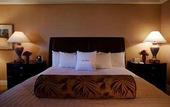 Туры в отель Doubletree Hotel Seattle Airport