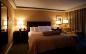 Туры в отель Doubletree Hotel Seattle Airport