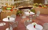 Туры в отель Doubletree Metropolitan
