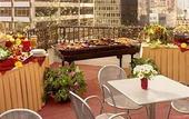 Туры в отель Doubletree Metropolitan
