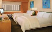 Туры в отель Doubletree Metropolitan