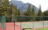Туры в отель Douglas Fir Resort & Chalets