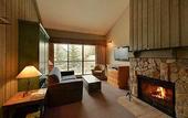 Туры в отель Douglas Fir Resort & Chalets