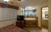 Туры в отель Douglas Fir Resort & Chalets