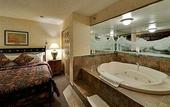 Туры в отель Douglas Fir Resort & Chalets