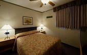 Туры в отель Douglas Fir Resort & Chalets
