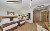 Туры в отель Hotel Boursier & Spa