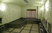 Туры в отель Nisshokan Shoshintei