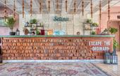 Туры в отель Selina Cancun Laguna Hotel Zone