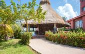 Туры в отель Selina Cancun Laguna Hotel Zone
