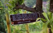 Туры в отель Mandhasativa Homestay