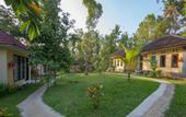Туры в отель Bali Green Guest House