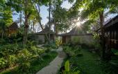 Туры в отель Sunia Jungle