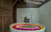 Туры в отель Malaya Villas Ubud