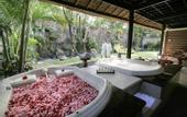 Туры в отель Dreamland Luxury Villas and Spa