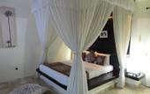 Туры в отель Dreamland Luxury Villas and Spa