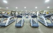 Туры в отель Ezdan Hotel