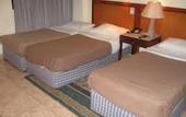 Туры в отель Dream Land Hotel