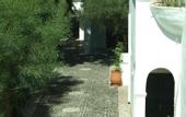 Туры в отель Drossos Hotel
