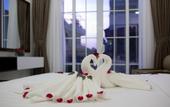Туры в отель New Vision Palace Hotel