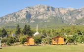 Туры в отель Elamir Beach Bungalow