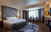 Туры в отель Dragon Pearl Hotel