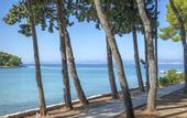 Туры в отель Velaris Resort