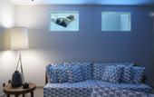 Туры в отель Cayo Exclusive Resort & Spa