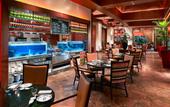 Туры в отель Grand Hyatt Dubai