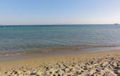 Туры в отель Altinersan Hotel Altinkum Didim