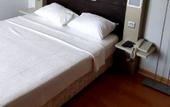 Туры в отель Synosse Hotel Turgutreis