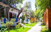 Туры в отель Naz Bungalow