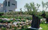 Туры в отель Villa Amaryllis (Fourkas)