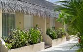 Туры в отель Tropical Village