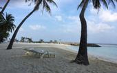 Туры в отель Kaani Palm Beach Guest house